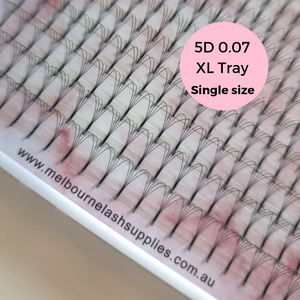 5D Premade 0.07 XL TRAY Long stem single size tray