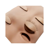 Mannequin With 2 Sets Of Removable Eyelids