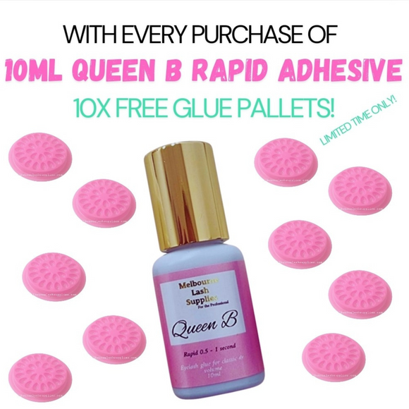 Queen B Rapid Glue 10ml +10 FREE GLUE PALLETS!