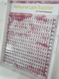 5D Short Stem Premade 0.05 XL TRAY Mixed Tray
