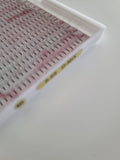 5D Short Stem Premade 0.05 XL TRAY Mixed Tray